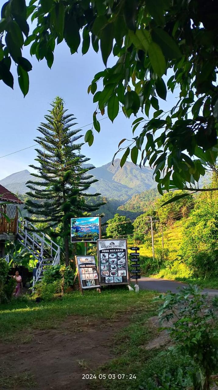 Blue Mountain Cottage Senaru Dış mekan fotoğraf