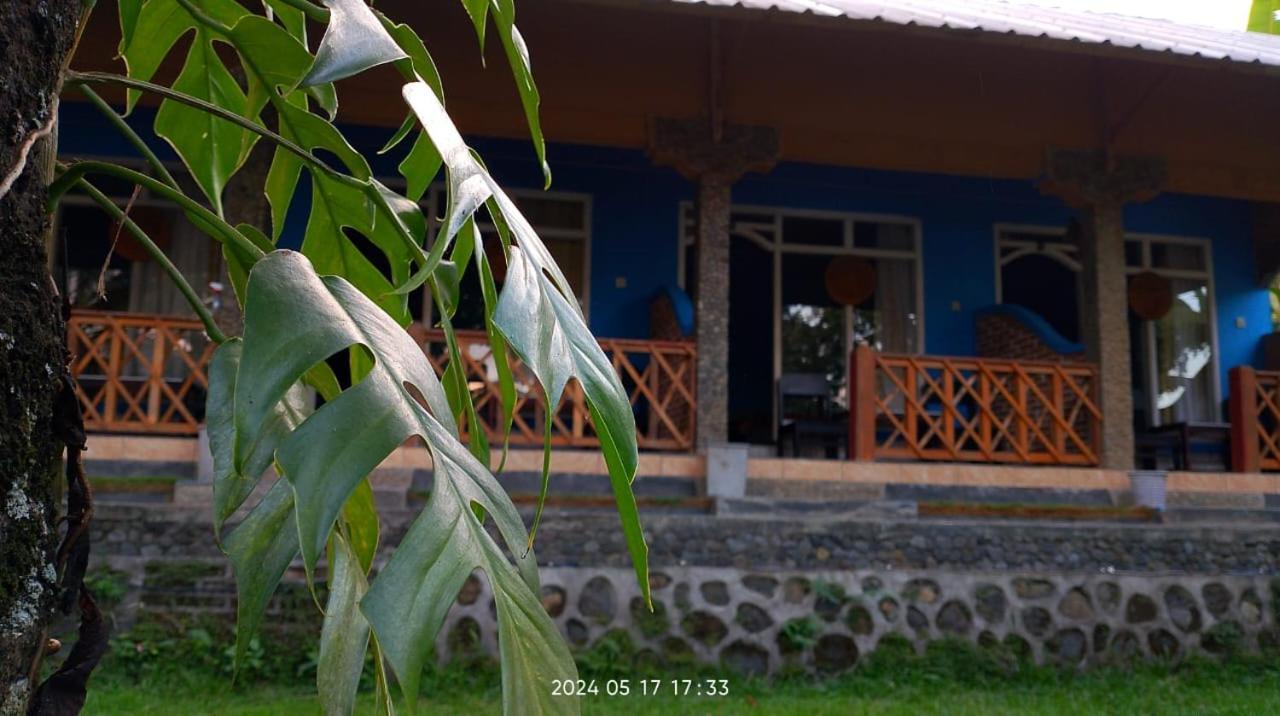 Blue Mountain Cottage Senaru Dış mekan fotoğraf