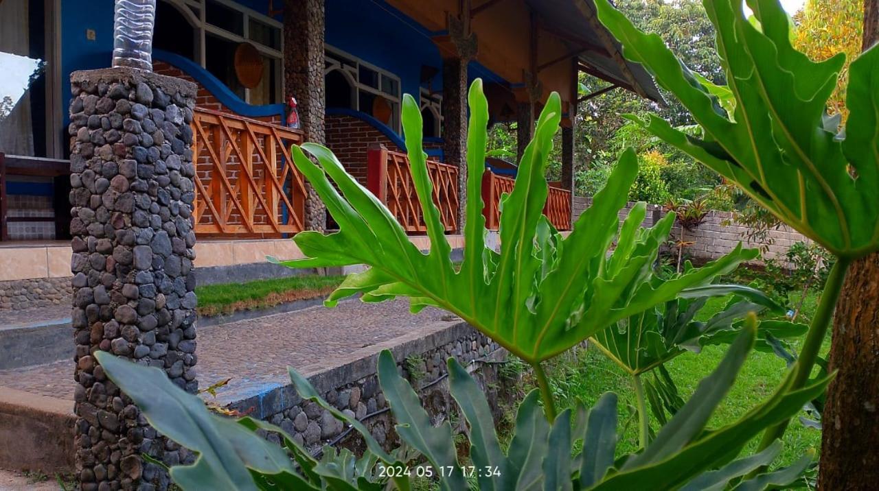 Blue Mountain Cottage Senaru Dış mekan fotoğraf